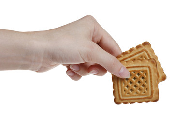 two tasty cookies in woman's hand