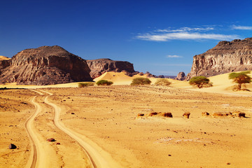 Fototapeta na wymiar Sahara, Algeria