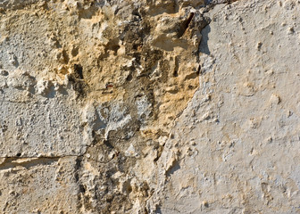 Old wall - texture