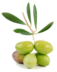 fresh olives