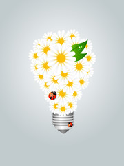 Floral bulb