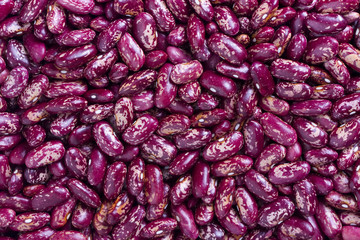 Red raw  kidney beans