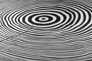 abstract annual rings