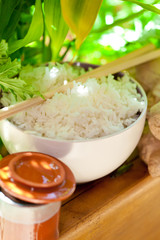 oryza sativa