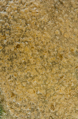 abstract background old bubbles close up