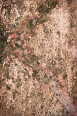 abstract background   old cement wall close up