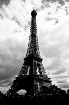 Fototapeta Eiffel tower - view from Seine river