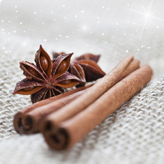weihnachtliche Gewürze