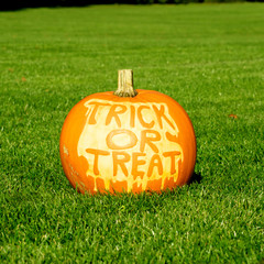 Fototapeta premium Halloween pumpkin