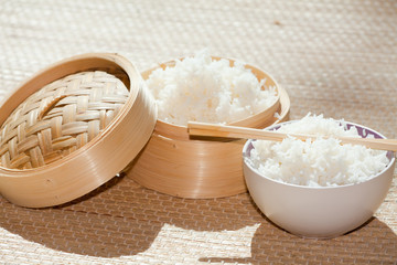 oryza sativa