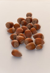 hazelnut