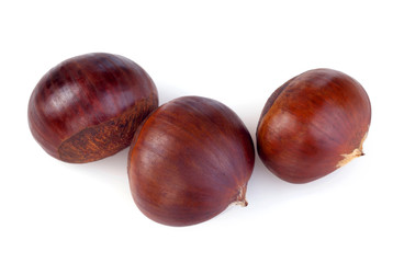 chestnuts on white background