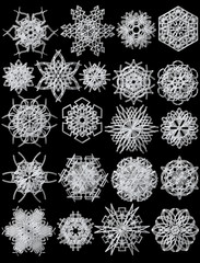 Collection of snowflakes