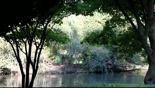 belle nature
