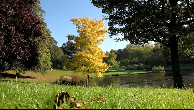 nature couleurs