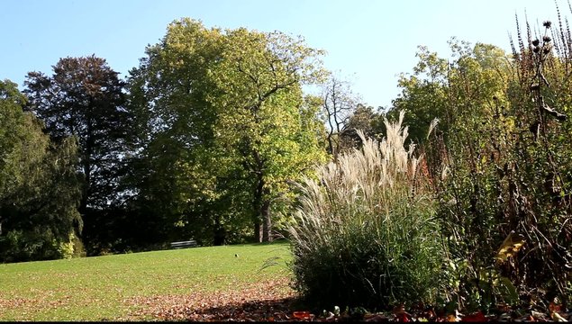 nature couleurs