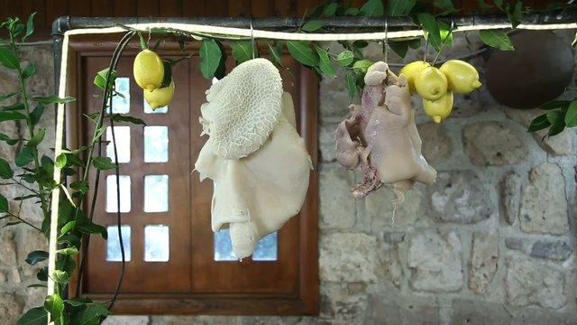 Trippa e musso