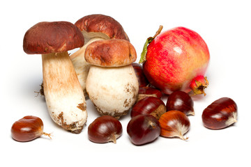 Prodotti autunnali su sfondo bianco