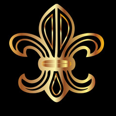 Golden glowing flour de lis symbol vector © glopphy