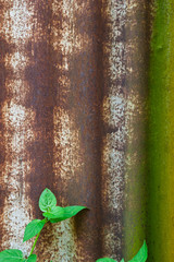 old galvanized steel