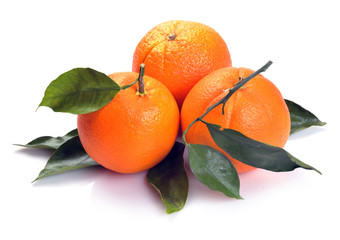three orange
