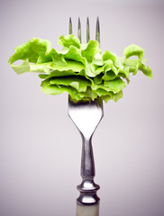 salad and tomato on fork isolated on white background