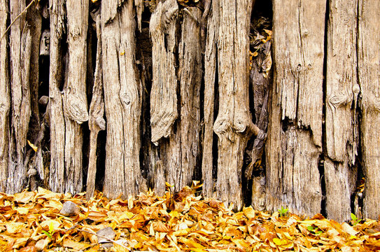 old river warf fragment