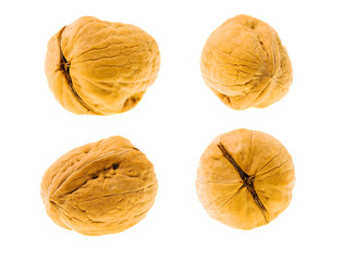Walnut (isolated)