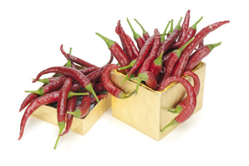 Red hot gift concept