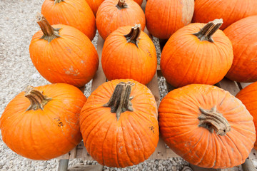 Pumpkins at the farmer market.
