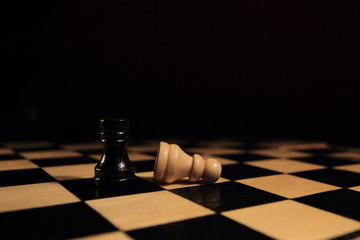 chess pieces on the board