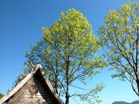 Giebel einer alten Wikingerh&uuml;tte im Dorf Flake als Filmkulisse am Walchensee im Sommer bei Sonnenschein in Kochel am See im Kreis Bad T&ouml;lz-Wolfratshausen in Oberbayern