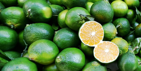 Limes