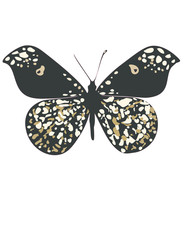 Бабочка - фейерверк