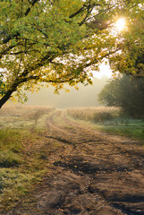 Autumn. The road in the fog