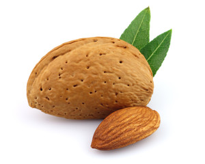 Sweet almonds with leaves
