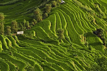 Gordijnen Rijstterrassen van Yuanyang, China © captainlookchoob