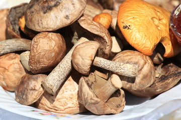 Грибы на тарелке