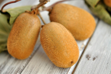 Ripe Kiwi