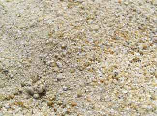 sand closeup