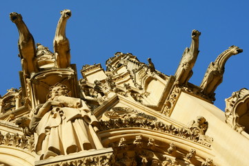 Gargouille,Kathedrale Saint-Étienne,Metz,Frankreich - obrazy, fototapety, plakaty
