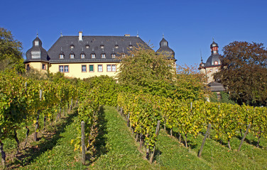 Fototapeta na wymiar Vollrads zamek w Rheingau (Hesja)
