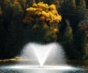 Naklejka premium Belfountain Conservation Park - Ontario Parks