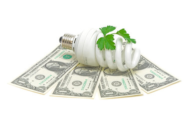 Energy saving light bulb and money and a green plant