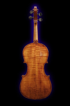 Maple Violin Backside.