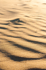 Wavy dune texture