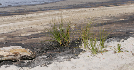 mar&eacute;e noire 2