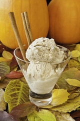 Autumn Ice Cream