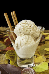 Cinnamon Ice Cream