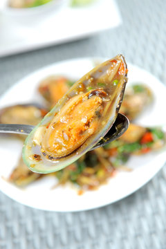 mussel